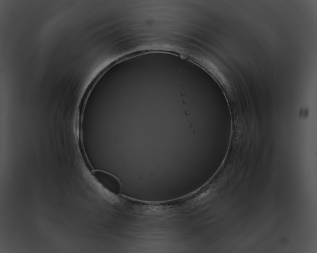 X0000091481084200708301909