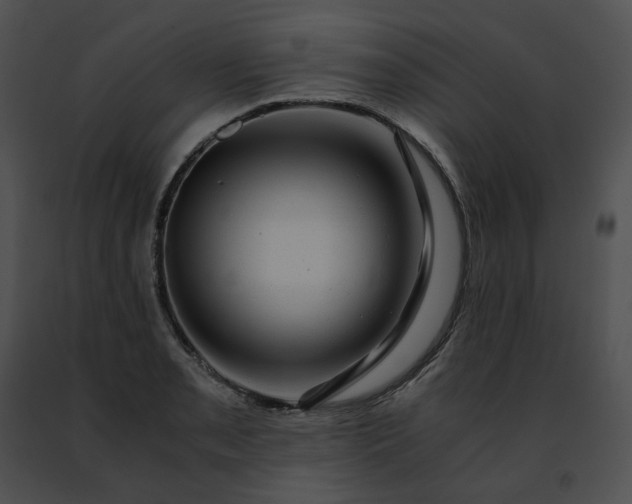 X0000091481085200708301909