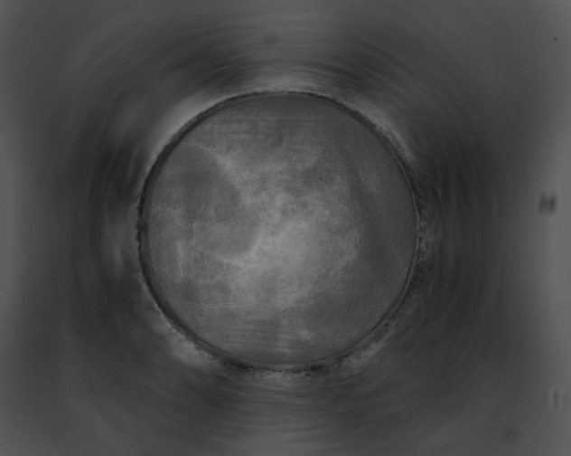 X0000091481086200708301909