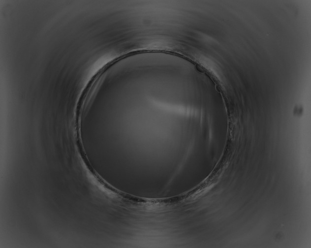 X0000091481087200708301909