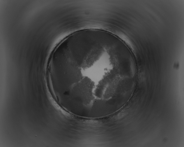 X0000091481088200708301909