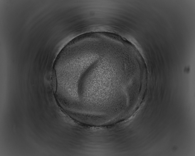 X0000091481089200708301909