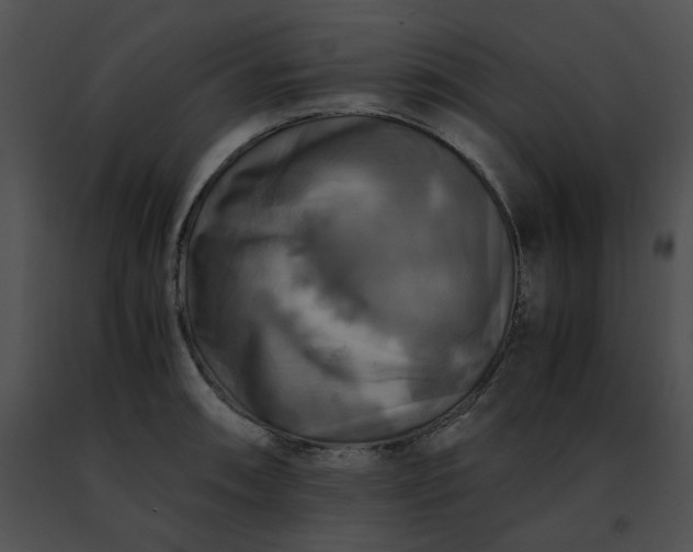 X0000091481090200708301909