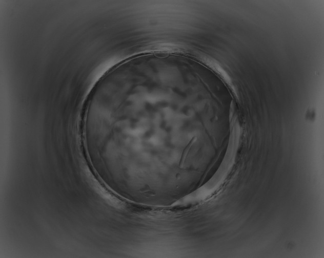 X0000091481091200708301909