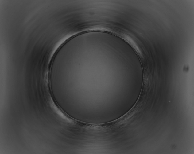 X0000091481092200708301909