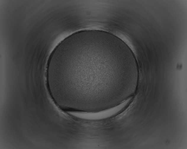 X0000091481093200708301909