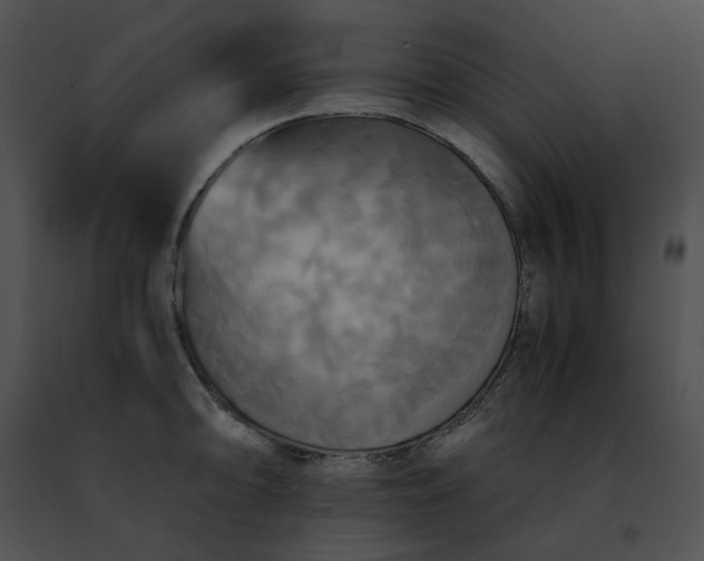 X0000091481094200708301909