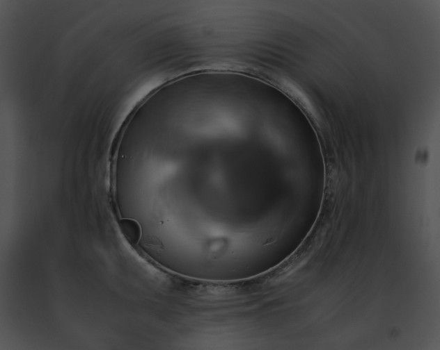 X0000091481095200708301909