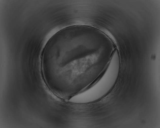 X0000091481096200708301909