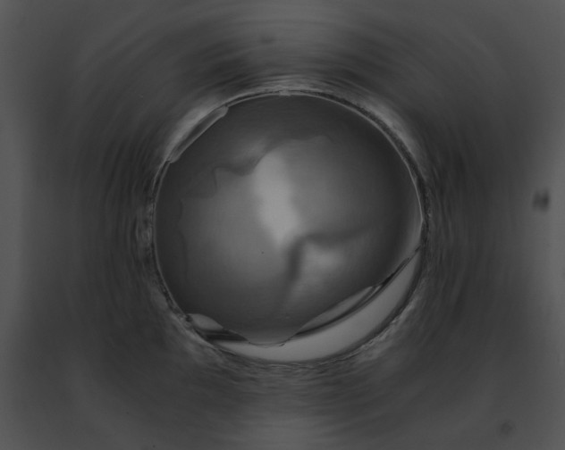 X0000091481097200708301909