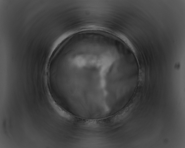 X0000091481098200708301909