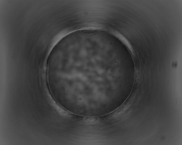 X0000091481099200708301909