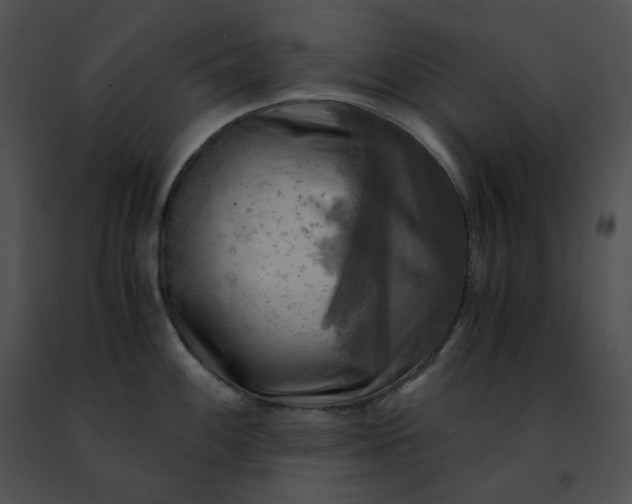 X0000091481100200708301909