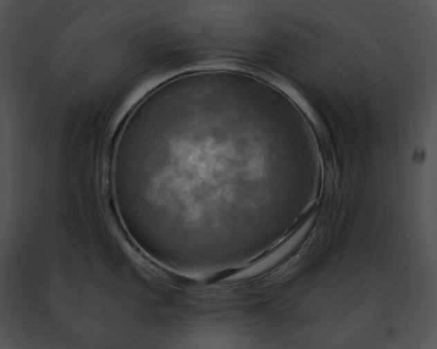 X0000091481101200708301909