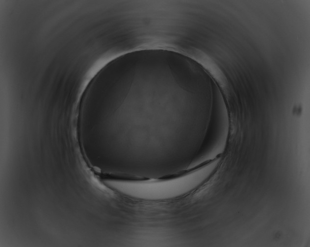 X0000091481102200708301909