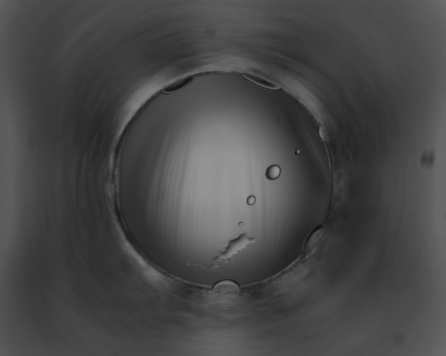 X0000091481103200708301909