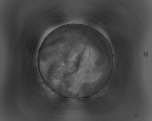 X0000091481104200708301909