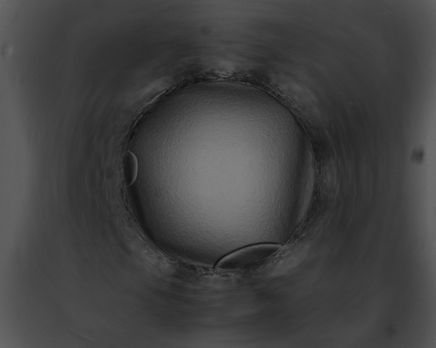 X0000091481105200708301908