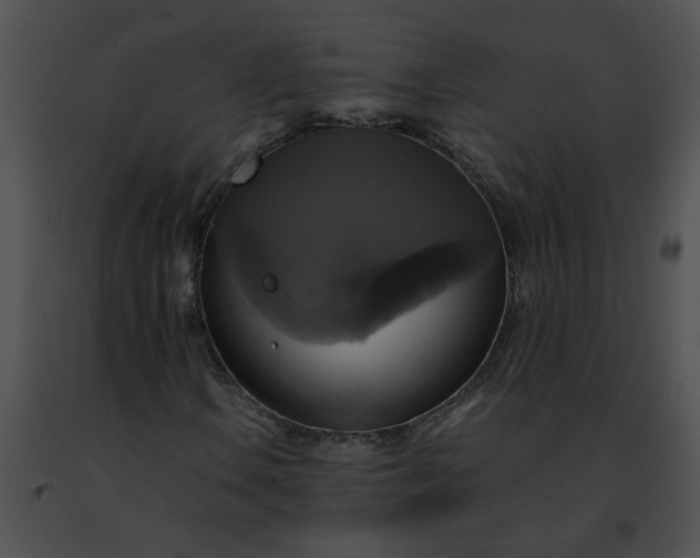 X0000091481106200708301908