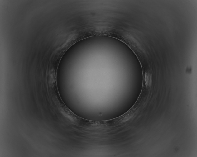 X0000091481107200708301908