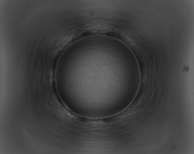 X0000091481108200708301908