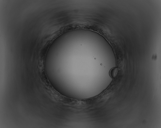 X0000091481109200708301908