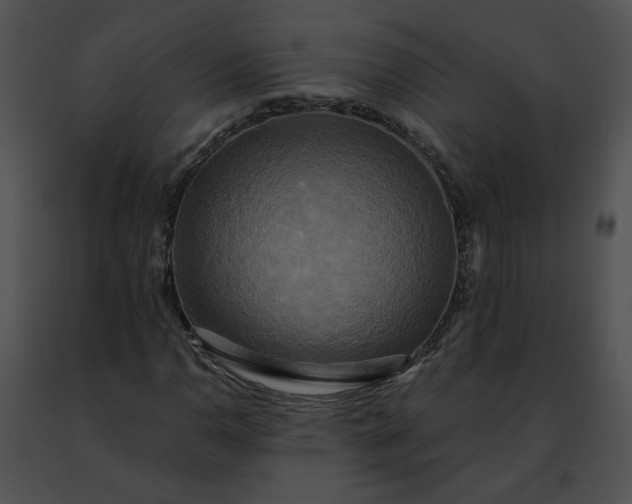 X0000091481110200708301908