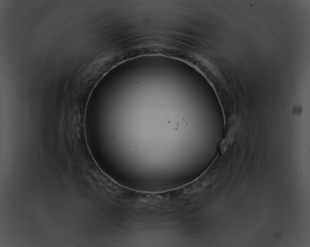 X0000091481111200708301908