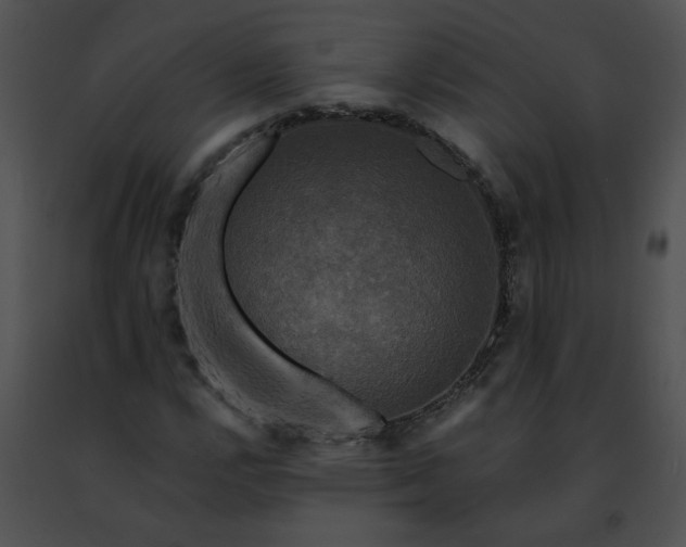 X0000091481112200708301908