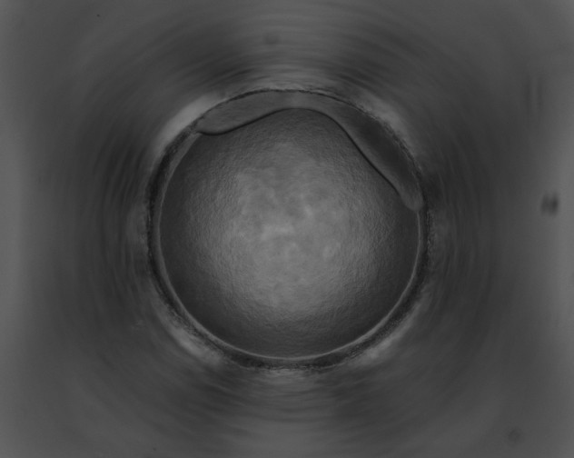 X0000091481114200708301908