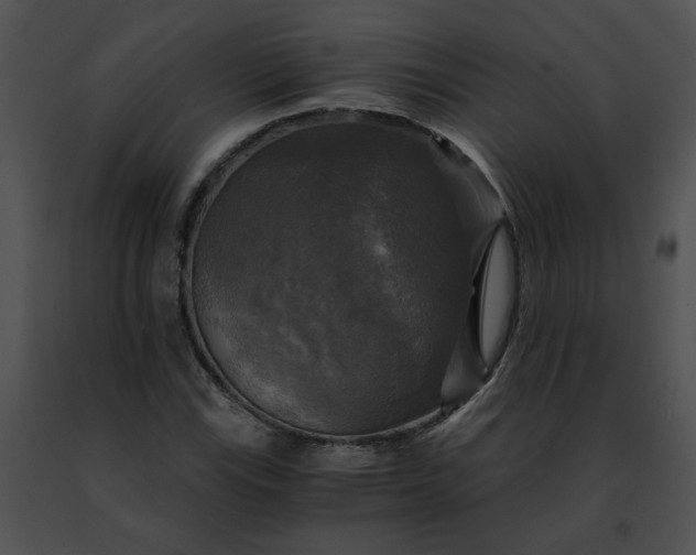 X0000091481115200708301908