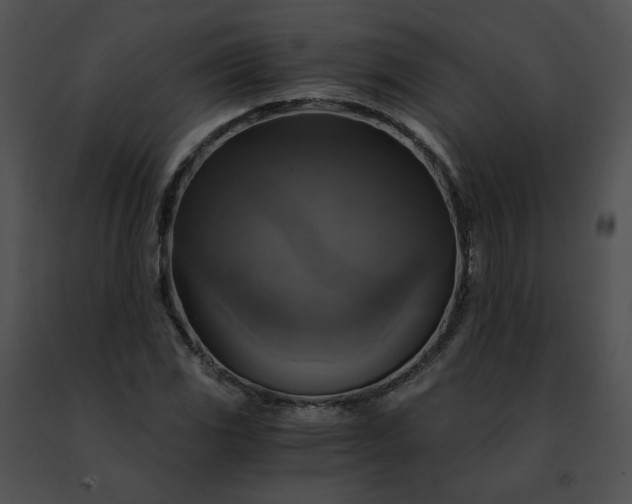 X0000091481117200708301908