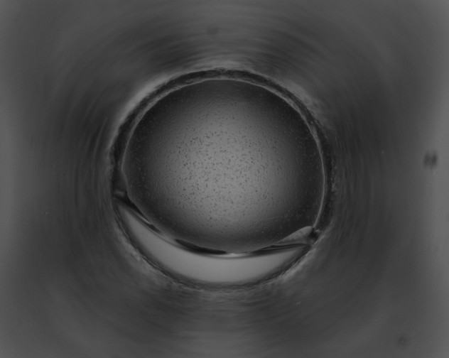 X0000091481118200708301908