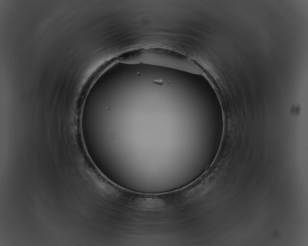 X0000091481119200708301908