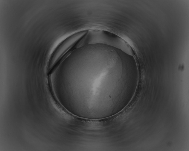 X0000091481120200708301908