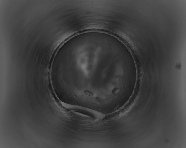 X0000091481121200708301908