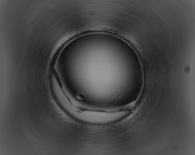 X0000091481122200708301908