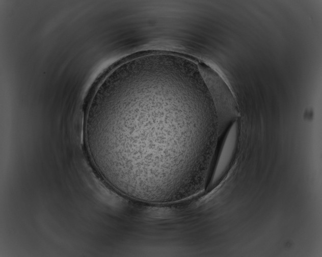 X0000091481123200708301908