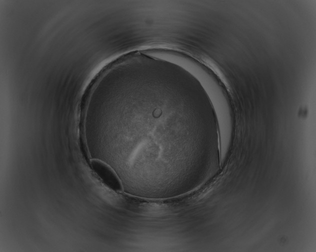 X0000091481124200708301908