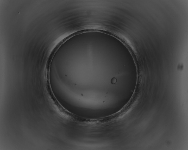 X0000091481125200708301908