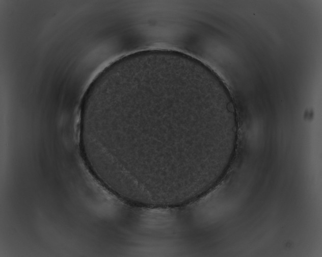 X0000091481126200708301908