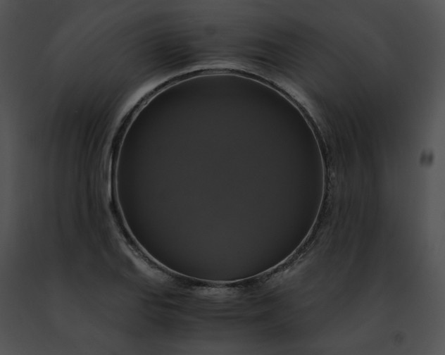 X0000091481127200708301908