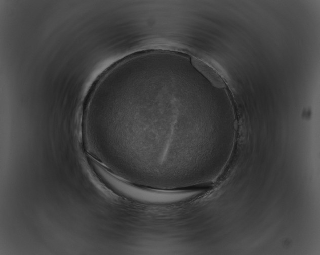 X0000091481128200708301908