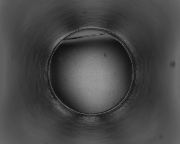 X0000091481129200708301909