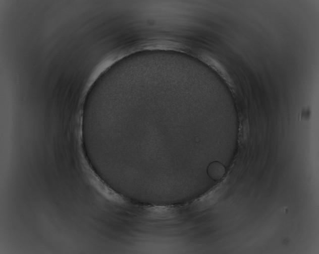 X0000091481130200708301909