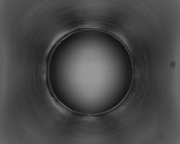 X0000091481131200708301909