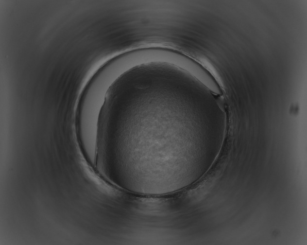 X0000091481132200708301909