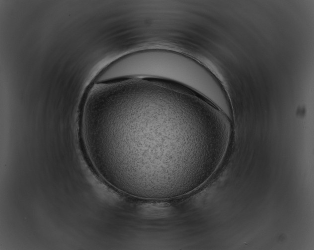 X0000091481133200708301909