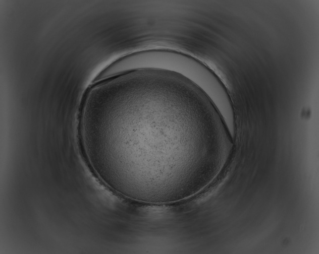 X0000091481134200708301909