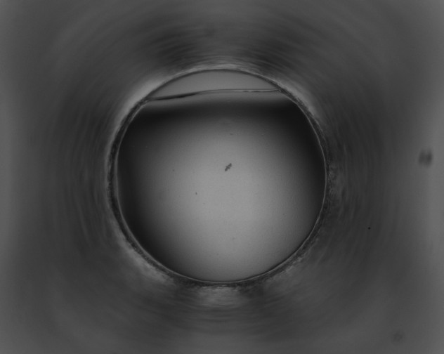 X0000091481135200708301909